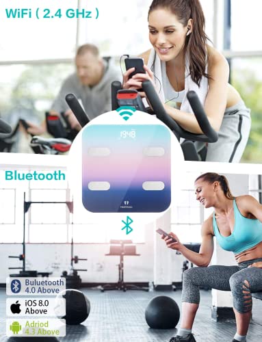 Weegschalen Lichaamsvetweegschaal WiFi en Bluetooth-aansluiting 31* 31cm, digitale badkamerweegschalen voor lichaamsgewicht met hoge precisie sensoren Lichaamssamenstelling Analyzer (steen/lb/kg)